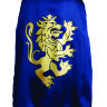 Вид со спины, рыцарский плащ синего цвета Liontouch 