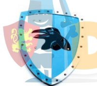 Щит черный ворон